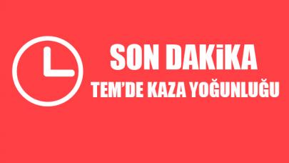 TEM'de kaza yoğunluğu