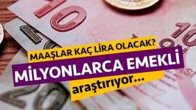 2020 Bağ-Kur ve SSK emekli maaşı kaç lira olacak?