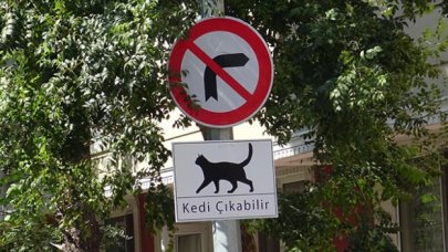 Sokaklara 'Kedi Çıkabilir' tabelası astılar