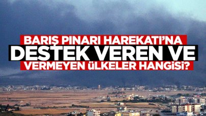 Barış Pınarı Harekatı'nda Türkiye'ye destek veren ve vermeyen ülkeler hangisidir