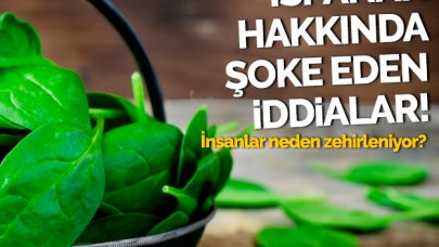 Ispanak hakkında şoke eden iddialar! İnsanlar neden zehirleniyor?