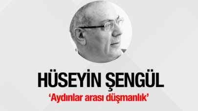 Aydınlar arası düşmanlık