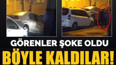 Bu nasıl park! Görenler şoke oldu