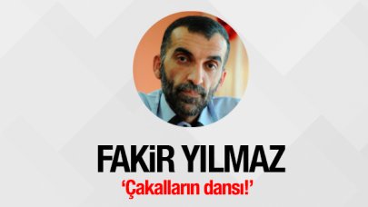 Çakalların dansı!