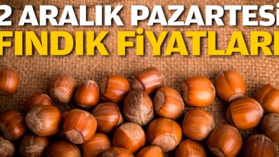 Fındık kaç lira? 2 Aralık Pazartesi fındık fiyatları