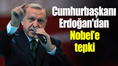 Cumhurbaşkanı Erdoğan'dan Nobel'e tepki