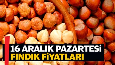 Fındık kaç lira? 16 Aralık Pazartesi fındık fiyatları