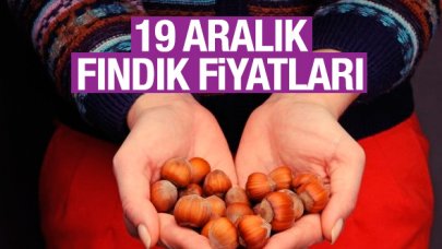 Fındık kaç lira? 19 Aralık Perşembe fındık fiyatları