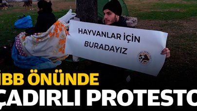 İBB önünde fayton protestosu