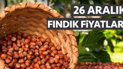 Fındık kaç lira? 26 Aralık Perşembe fındık fiyatları