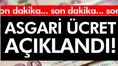 2020 asgari kaç lira oldu? İşte resmi açıklama