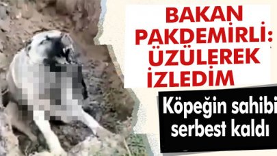 O köpeğin sahibi konuştu: ''İğne yaparken düştü''