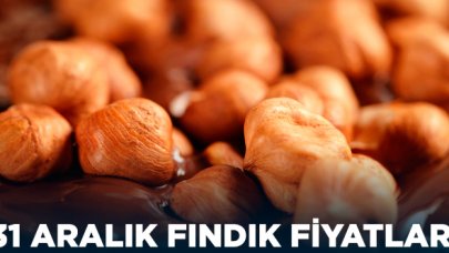 Fındık kaç lira? 31 Aralık Salı fındık fiyatları