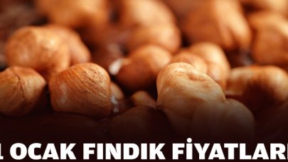 Fındık kaç lira? 1 Ocak Çarşamba fındık fiyatları