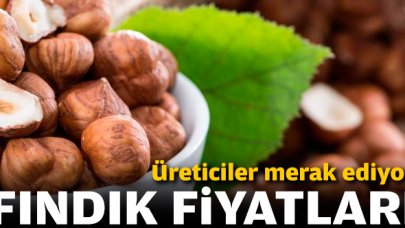 Fındık kaç lira? 3 Ocak Cuma fındık fiyatları