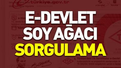 e-Devlet soy ağacı sorgulama sayfası burada! Üst soy bilgisi nasıl sorgulanır