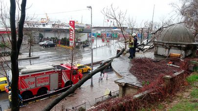 Beyoğlu'nda devrilen ağaç tarihi çeşmenin çatısına hasar verdi