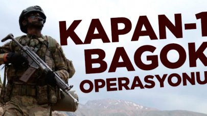 İçişleri Bakanlığı'ndan 'Kapan-1 Bagok' operasyonu