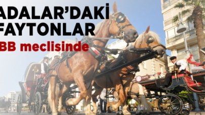 Adalar'daki faytonlar İBB meclisinde