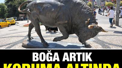 Boğa artık koruma altında