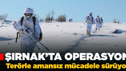 Şırnak'ta terör operasyonu: Kapan-5 Gabar