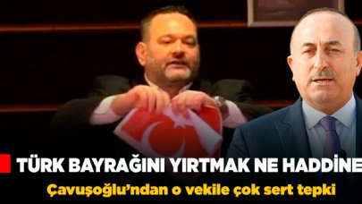 Çavuşoğlu'ndan Türk bayrağı yırtan Yunan vekile sert tepki