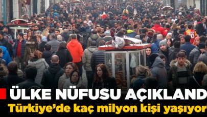 Türkiye'nin 2019 nüfusu açıklandı! Türkiye'de kaç milyon insan yaşıyor?