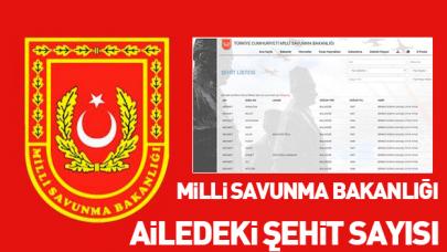 Ailemde kaç şehit var sorgulama sayfası! Milli Savunma Bakanlığı şehit öğrenme sayfası burada