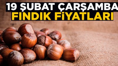 Fındık kaç lira? 19 Şubat Çarşamba fındık fiyatları | İl il fındık fiyatları