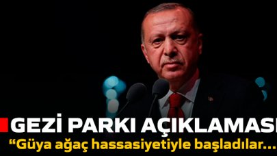 Cumhurbaşkanı Erdoğan'dan Gezi Parkı davası'na yorum