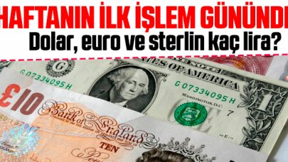 24 Şubat Pazartesi dolar ve euro kaç lira? Alış ve satış fiyatları