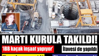 Martı kurula takıldı