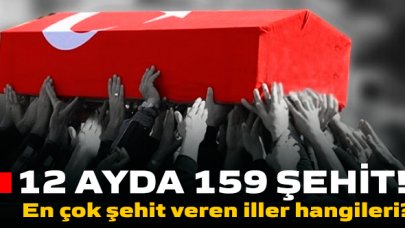 MSB yayınladı: 1 yılda 159 Şehit! En çok şehit veren iller hangileri?