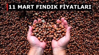 Fındık kaç lira? 11 Mart Çarşamba fındık fiyatları | Trabzon, Ordu, Sakarya ve Giresun fiyatları