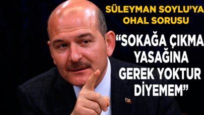 Soylu'dan OHAL cevabı: Gerek yoktur diyemem