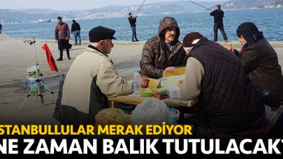 Balık tutmak ne zaman serbest olacak? İstanbul'da balık tutma yasağı ne zaman bitecek