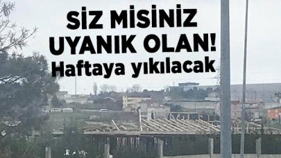 Siz misiniz uyanık olan!