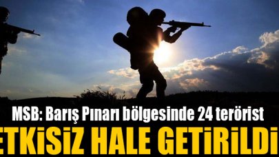 Barış Pınarı bölgesinde 24 terörist etkisiz hale getirildi