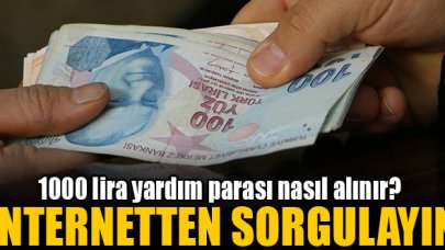 1000 lira yardım parası nasıl alınır? E-Devlet sorgulama ekranı