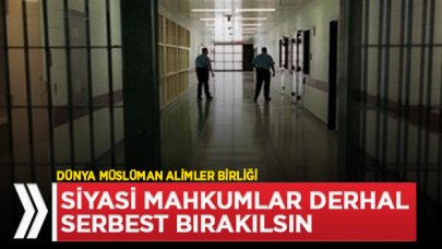 Arap ülkelerindeki siyasi mahkumların bırakılmasını istedi