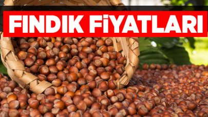 9 Nisan Perşembe fındık borsası | Fındık kaç lira? Fındık fiyatları