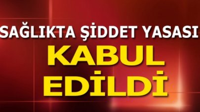 Sağlıkta şiddet düzenlemesi yasalaştı! Şiddetin cezası yüzde 50 arttı