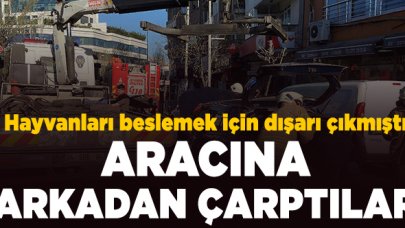 Hayvanları beslemek için sokağa çıkan Lale Akıncı'nın aracına çarptılar!