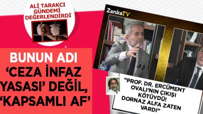 Ali Tarakcı: Ceza infaz yasası değil, kapsamlı af!