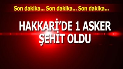 Son dakika... Hakkari'den acı haber: 1 asker şehit oldu