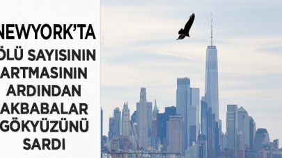 ABD'nin New York kentinde akbabalar uçmaya başladı