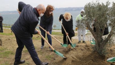 Büyüçekmece Belediyesi 100. yıl anısına 100 zeytin ağacı dikti