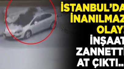 İnşaat zannetti at çıktı! Arnavutköy'de şoke eden anlar