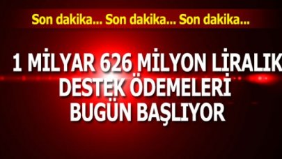 Pakdemirli açıkladı: 1 milyar 626 milyon liralık destek ödemeleri bugün başlıyor