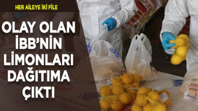 İBB'nin Mersinli çiftçiden aldığı limonlar dağıtıma çıktı